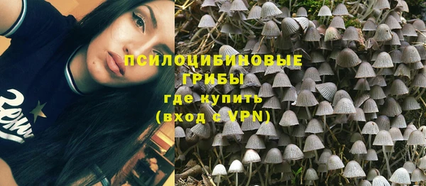 прущая мука Мегион
