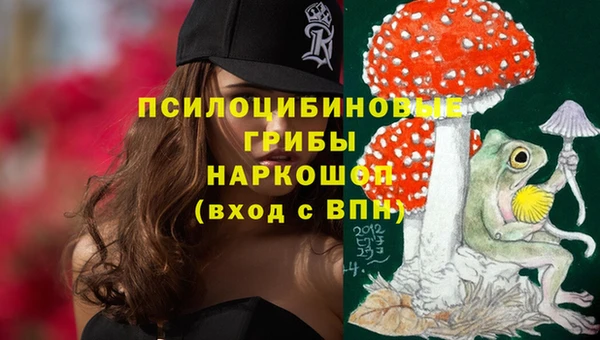 не бодяженный Магадан
