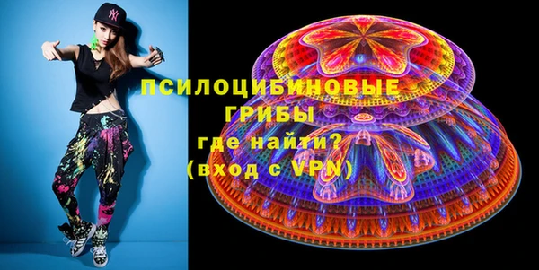 PSILOCYBIN Медногорск