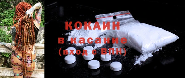 гидра Магас